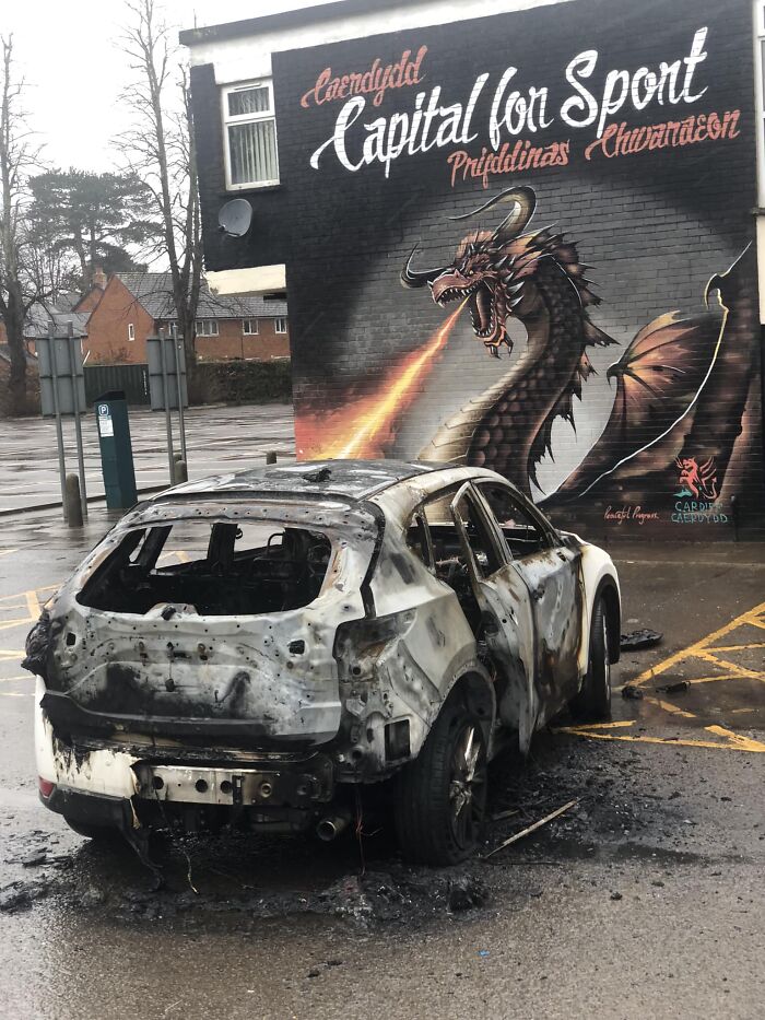 “Pics Or It Never Happened”: 50 Things That Might Be Hard To Believe Without Evidence