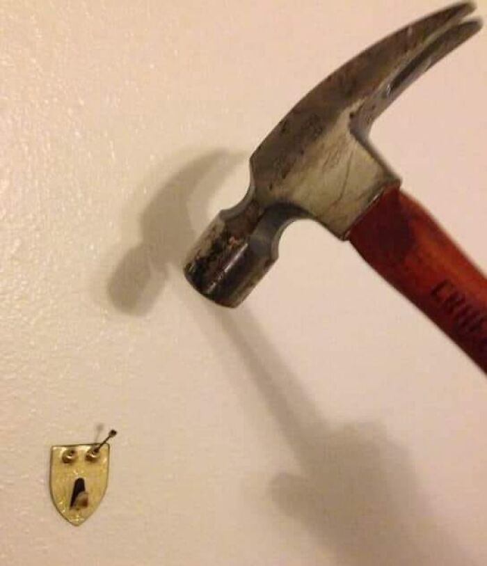 “Pics Or It Never Happened”: 50 Things That Might Be Hard To Believe Without Evidence