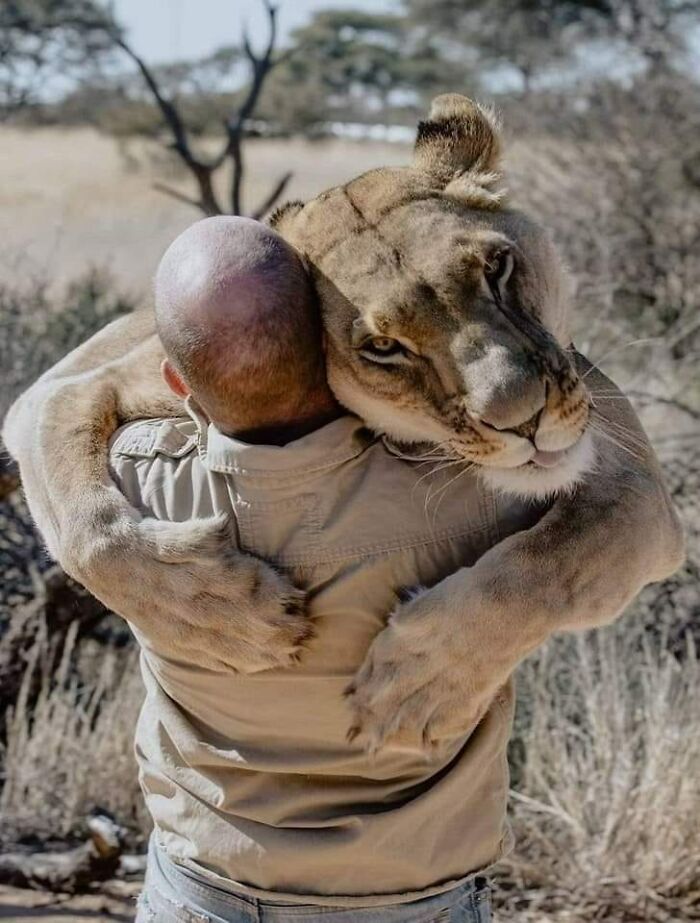 “Pics Or It Never Happened”: 50 Things That Might Be Hard To Believe Without Evidence