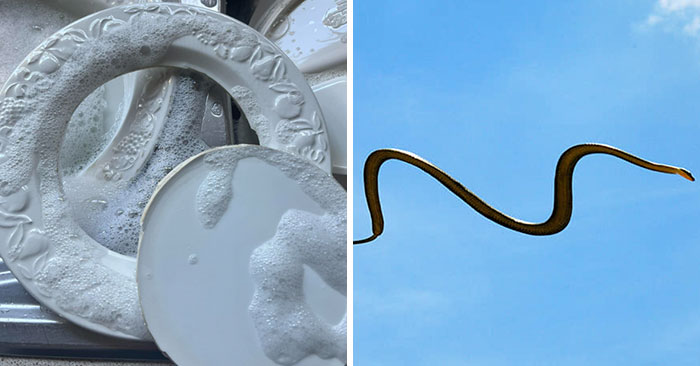 “Pics Or It Never Happened”: 50 Things That Might Be Hard To Believe Without Evidence