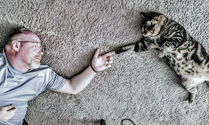 Man and cat lying on carpet reaching out to touch paws, illustrating hilariously blessed cats as godsent companions.