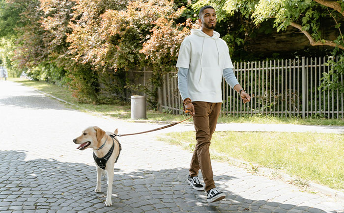 Parent Wants Service Dog Moved For "Baby Boy's" Window Seat, Gets A Reality Check