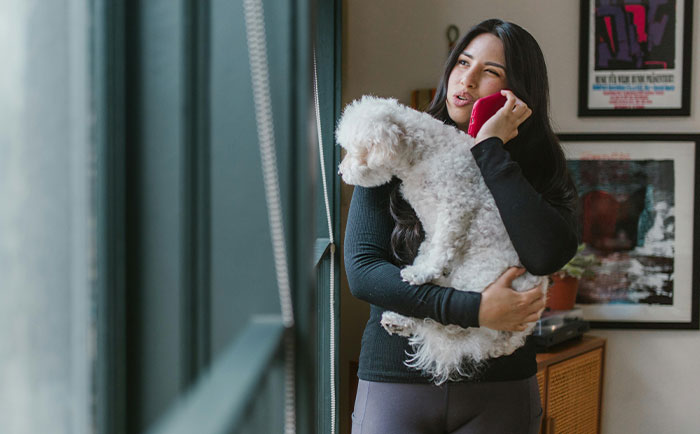 Parent Wants Service Dog Moved For "Baby Boy's" Window Seat, Gets A Reality Check