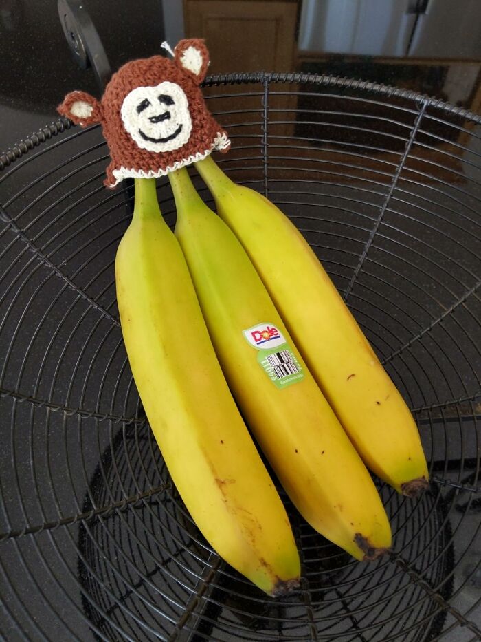 Three bananas wearing a small knitted monkey hat in a black wire fruit basket, showcasing a random genius idea.