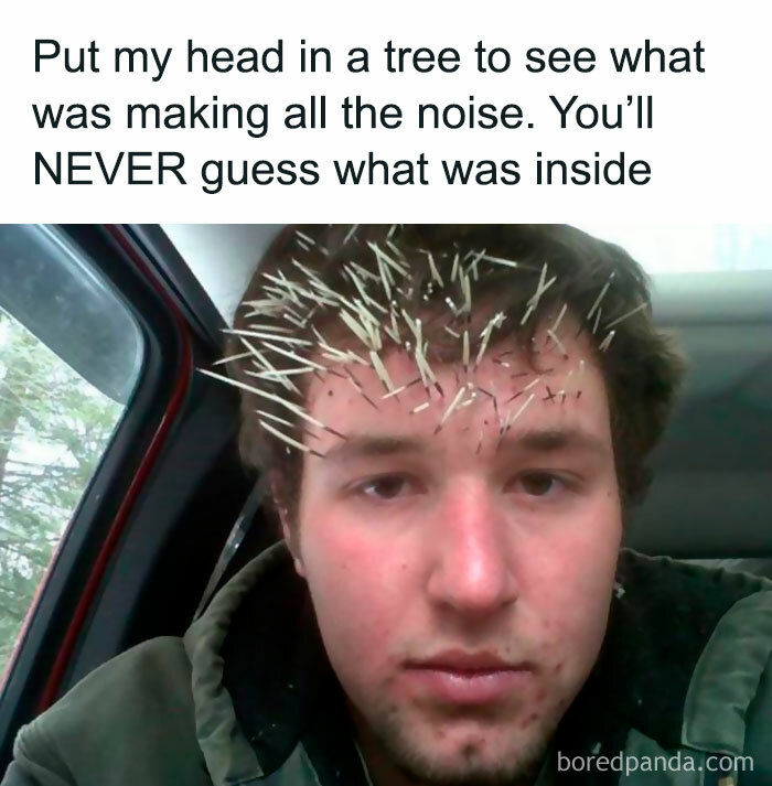 Random-Hilarious-Memes