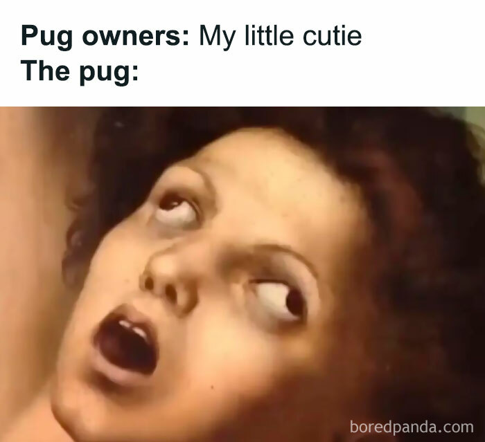 Random-Hilarious-Memes