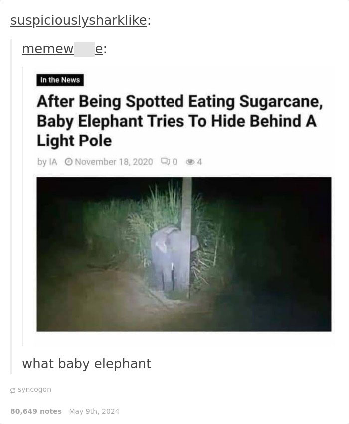 Random-Hilarious-Memes