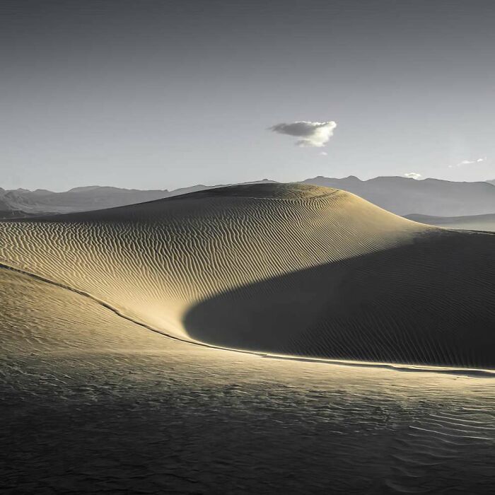 Sand dunes with rippled patterns and soft shadows in a breathtaking landscape photo from the 2024 ReFocus Awards.