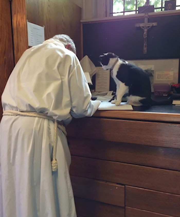 Priest in white robe and a black-and-white cat sitting on a desk, showing hilariously blessed cat moments.