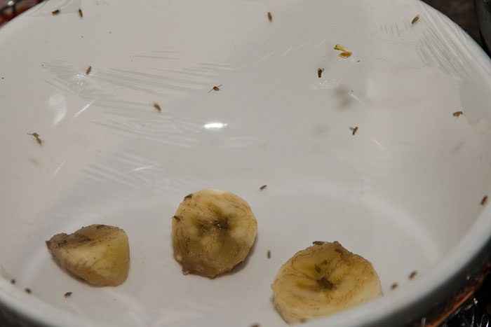 40 Red Flags Indicating You Should Immediately Leave The Restaurant You’re At