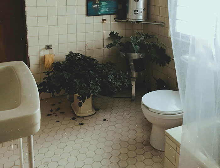 40 Red Flags Indicating You Should Immediately Leave The Restaurant You’re At