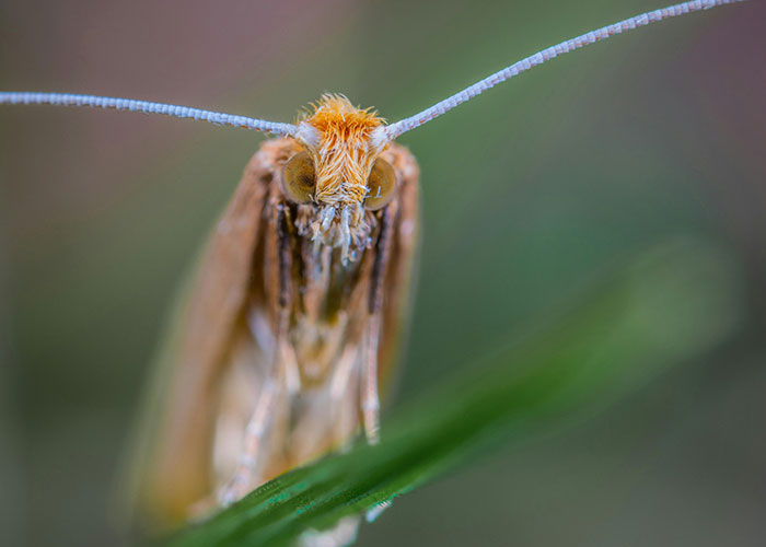 Improbable Doesn’t Mean Impossible: 35 Unlikely Events People Experienced