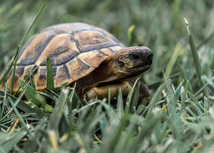 Improbable Doesn’t Mean Impossible: 35 Unlikely Events People Experienced