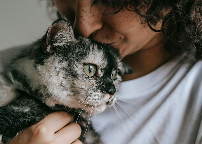 Person gently holding and kissing a rare mottled cat, capturing an unlikely and improbable pet moment.