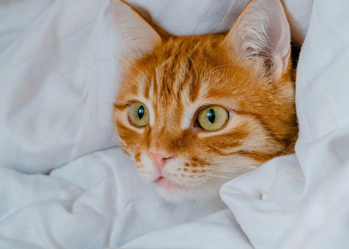 30 Secrets Of The Rich, Shared By Netizens Who Used To Work For Them