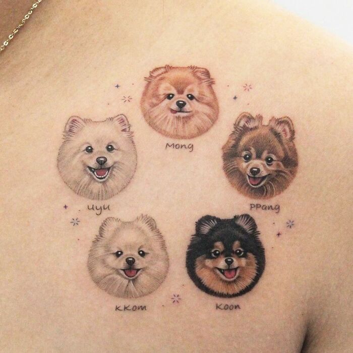 Cute pet portrait tattoos featuring five Pomeranian dog faces with playful expressions.