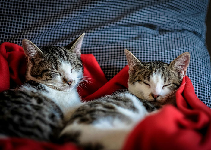 30 People Reveal Things That Improved Their Lives So Much, They Wish They Had Done Them Sooner