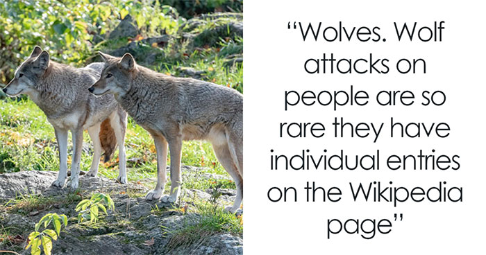 People Share 31 Things That Seem Dangerous But Actually Aren’t That Bad