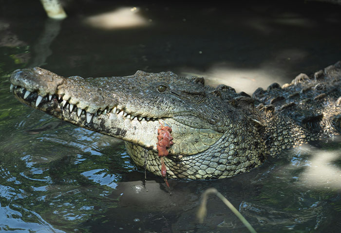 People Share 31 Things That Seem Dangerous But Actually Aren't That Bad