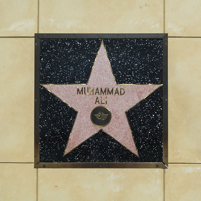 50 Curious “Today I Learned” Facts People Couldn’t Wait To Share (New Posts)