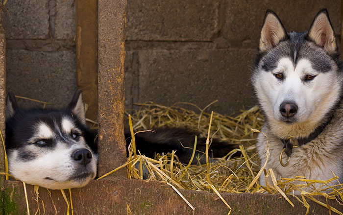 50 Curious “Today I Learned” Facts People Couldn’t Wait To Share (New Posts)