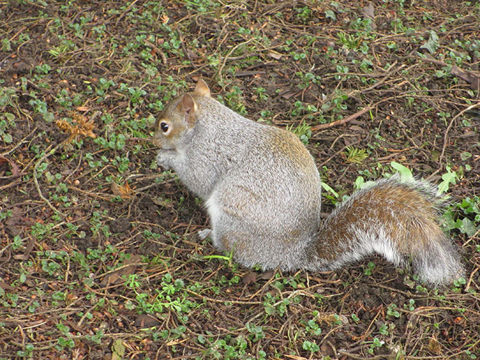 50 Curious “Today I Learned” Facts People Couldn’t Wait To Share (New Posts)