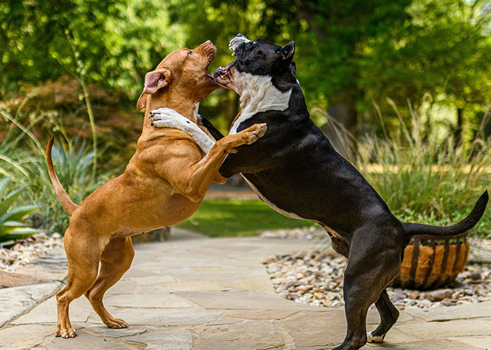 38 People Share Traditions And Social Norms They Absolutely Hate