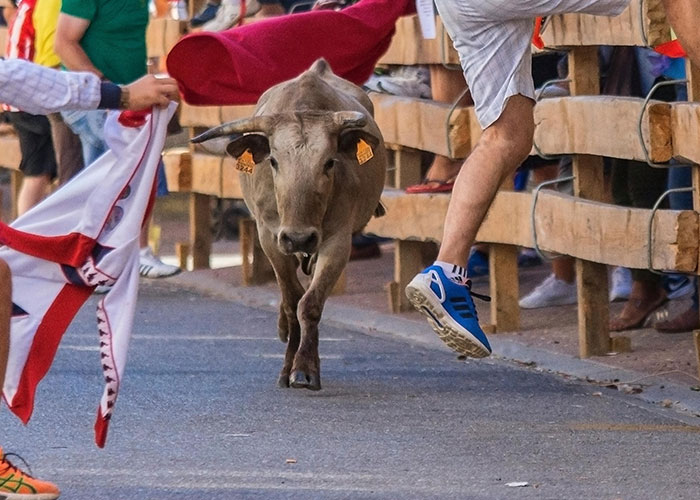 38 People Share Traditions And Social Norms They Absolutely Hate