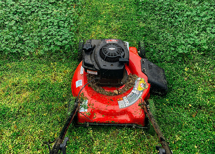 38 People Share Traditions And Social Norms They Absolutely Hate