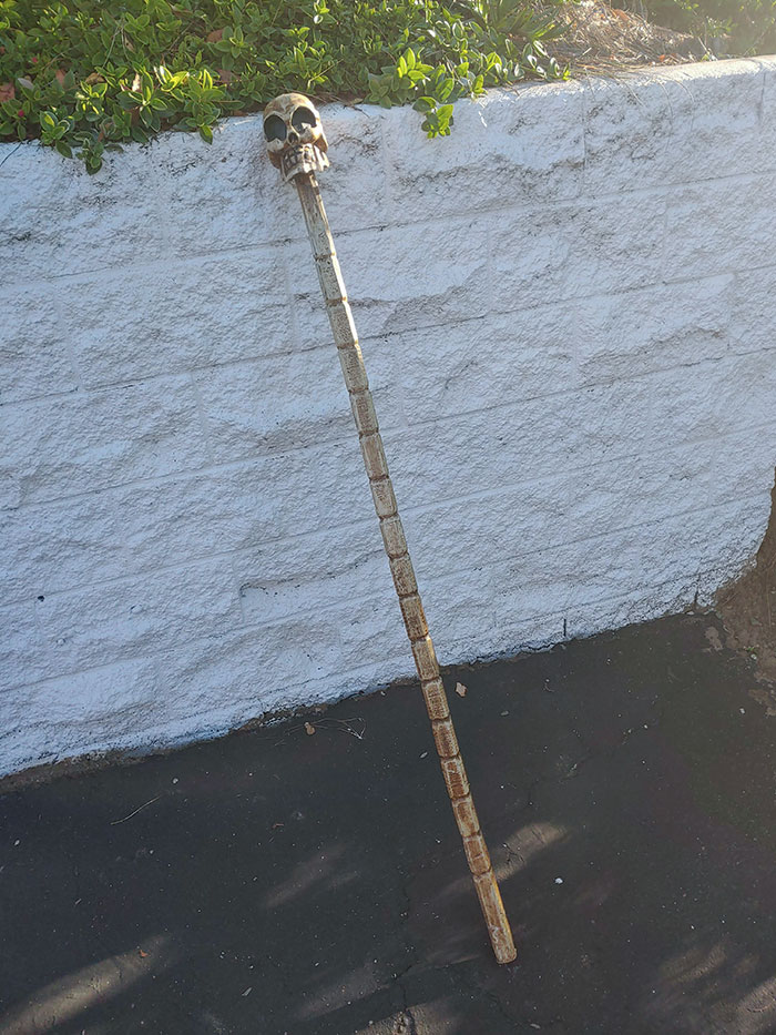 Este bastón para caminar estaba en el camino