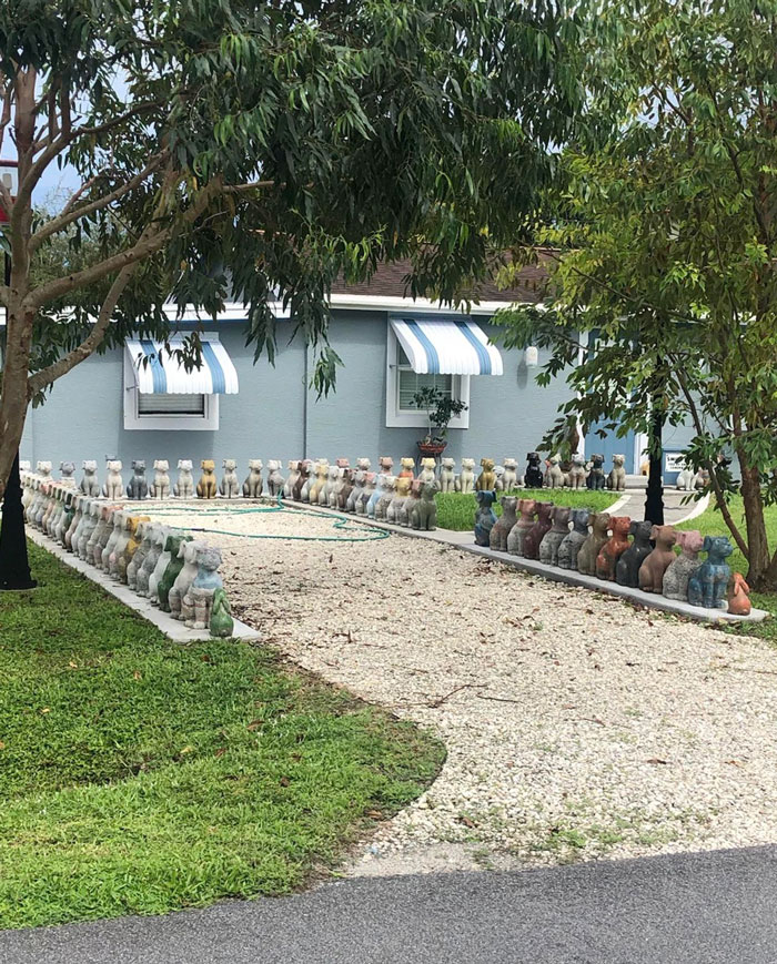 Creo que al vecino le gustan los perros