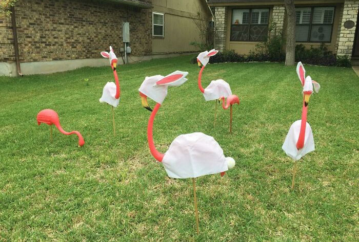 My Neighbor Couldn’t Make It To The Store For Bunny Decorations, So They Decided To Use What They Had Available