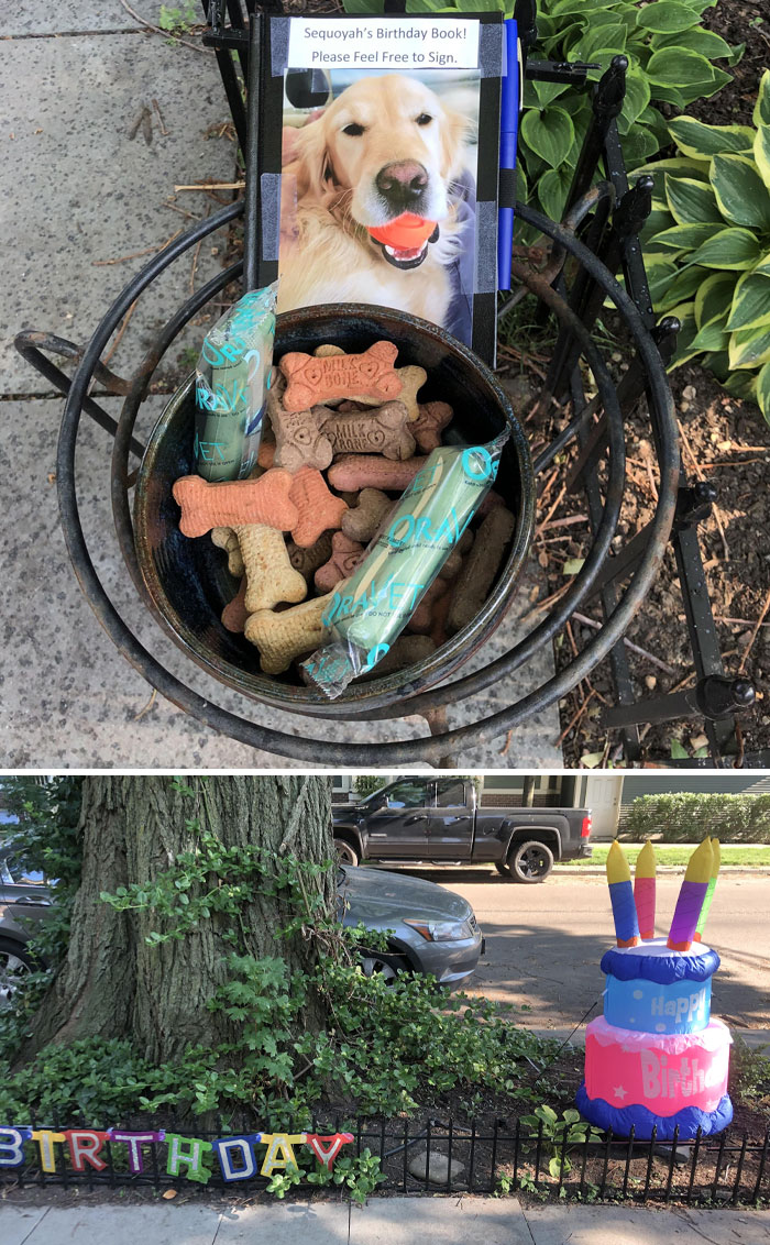 Neighbors Decorated The Sidewalk As Well As Had A Guestbook For Their Dog’s Birthday