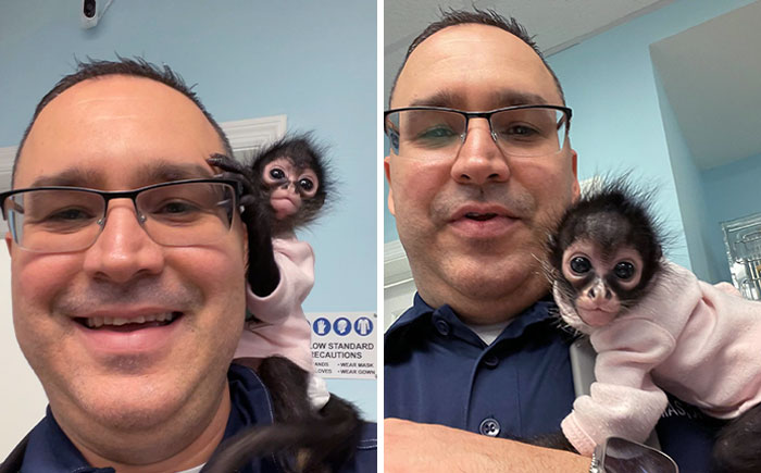 Veterinarian smiling with a baby monkey on his shoulder, both looking content at the vet's office.