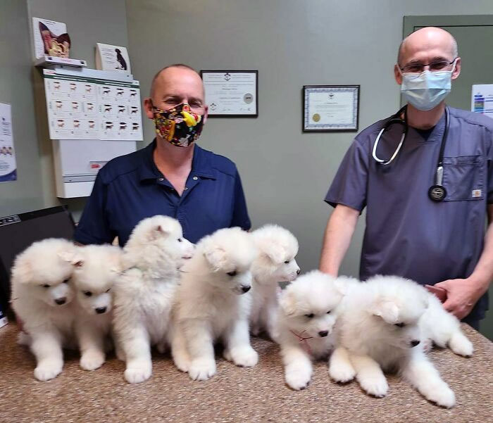 First Vet Visit, Everyone Did Great