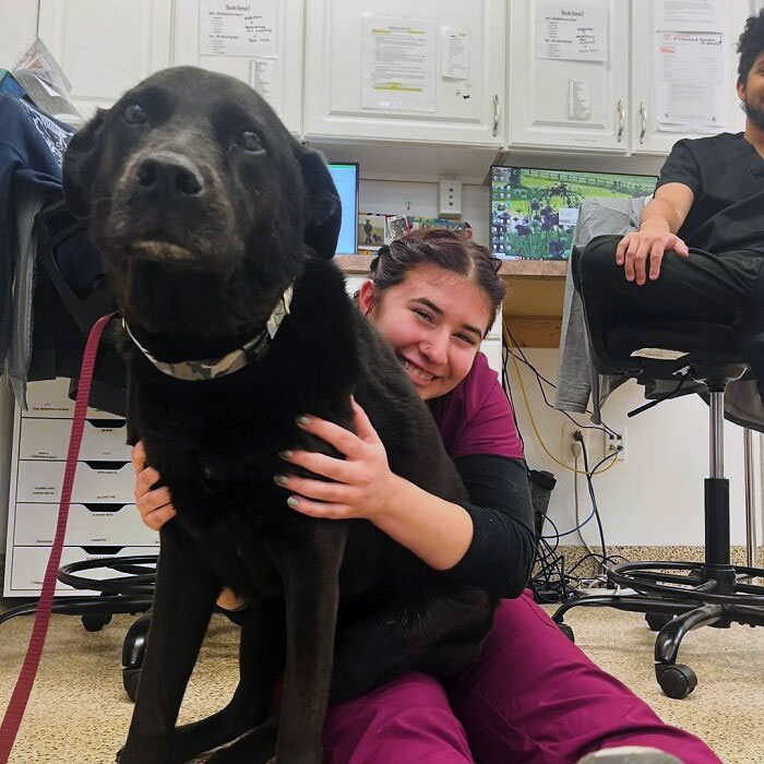 Veterinarian hugging a large black dog with a smile, creating a wholesome moment in the office setting.