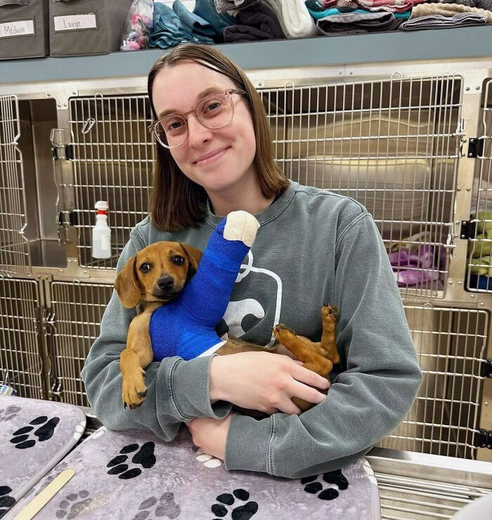 A vet holding a dog with a blue cast, sharing a wholesome moment at the veterinarian’s office.