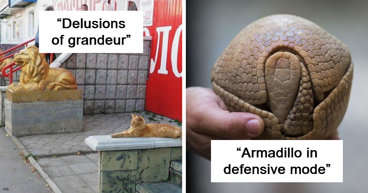 50 Weird Science Posts That Have Been Scientifically Proven To Be ...