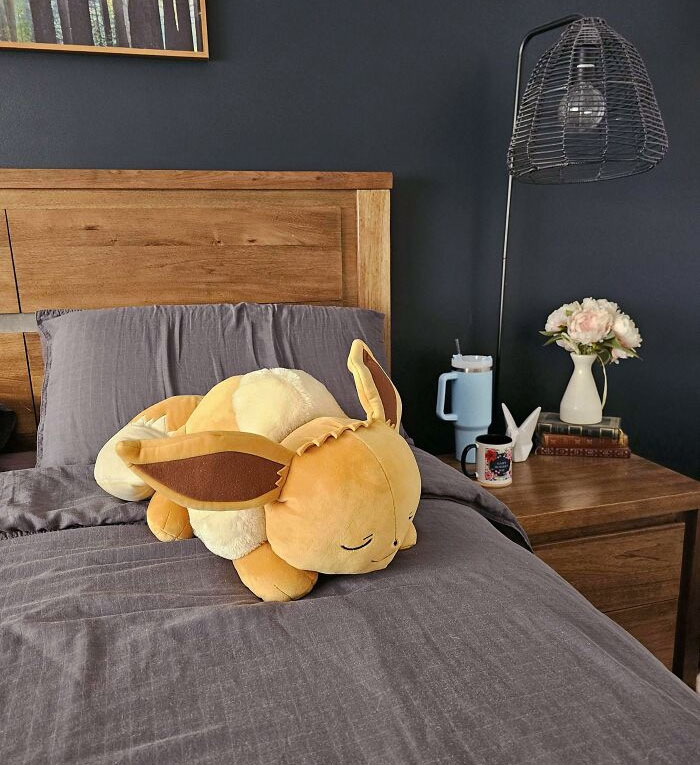 When It's Mother's Day And Your 4-Year-Old Decides You "Need" A Giant Eevee Plushie