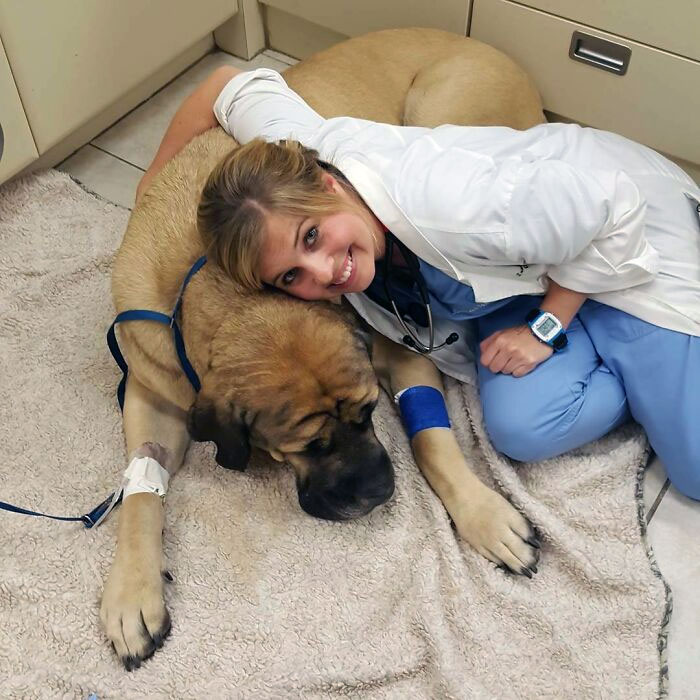 Veterinarian hugging a content dog on a towel, showcasing a heartwarming moment in a vet's office.