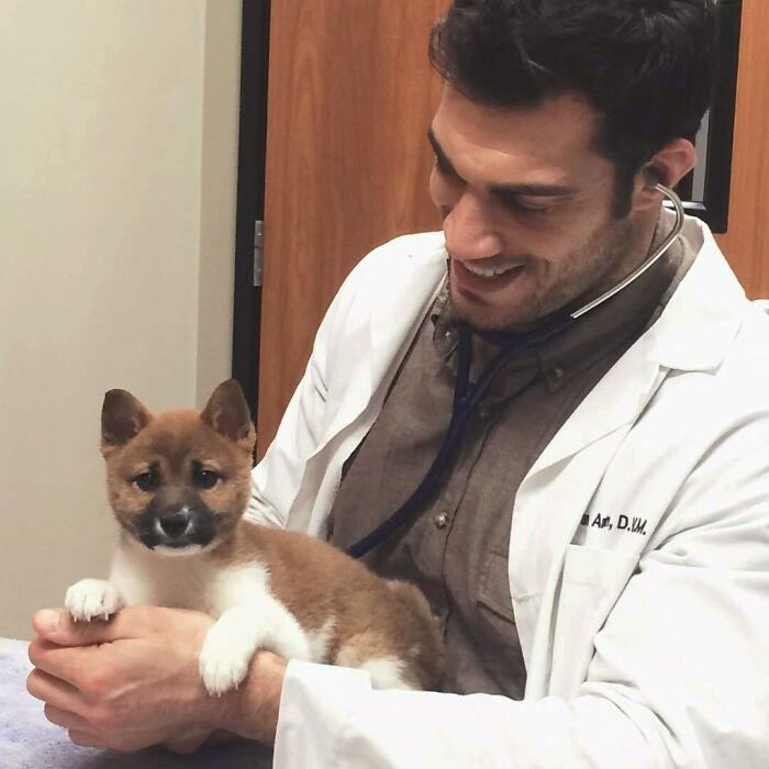 Veterinarian smiling at a cute puppy during a check-up, showcasing a wholesome moment.