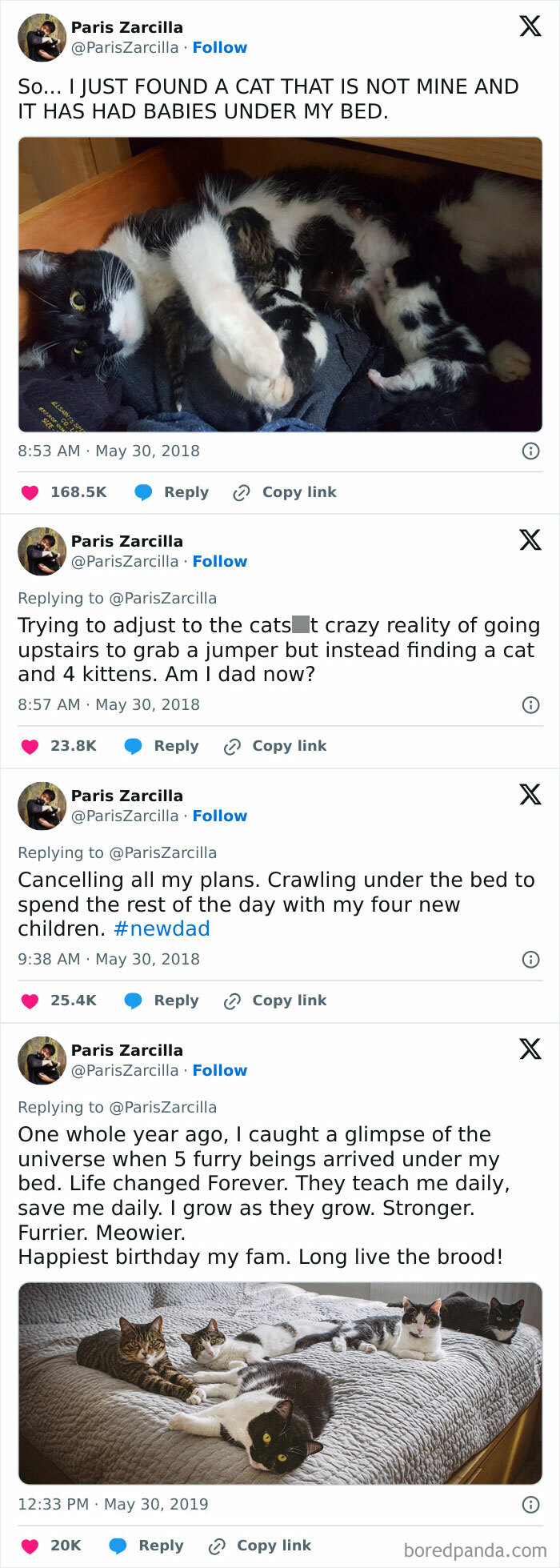 The Legend Of A Cat Dad