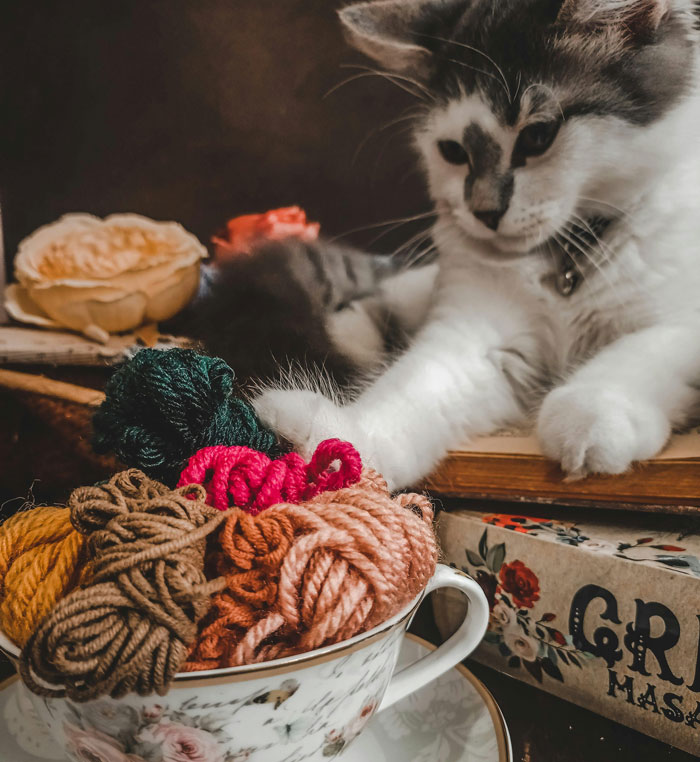 Cat playing with yarn on table, about to push it off.