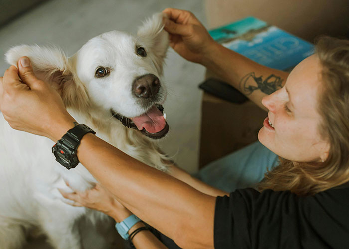 Man Thinks His Dog Ran Away 5 Years Ago, Considers Divorce After Learning What Really Happened