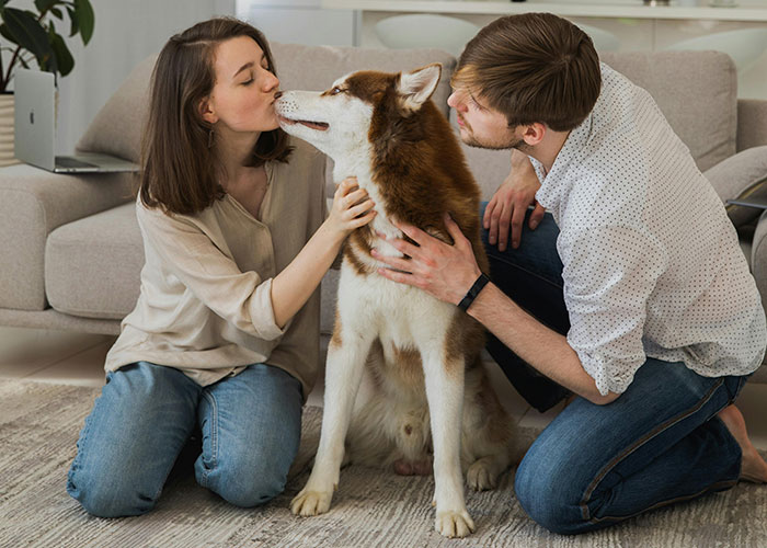 Man Thinks His Dog Ran Away 5 Years Ago, Considers Divorce After Learning What Really Happened