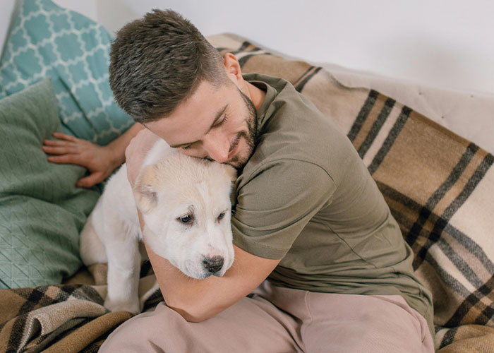 Man Thinks His Dog Ran Away 5 Years Ago, Considers Divorce After Learning What Really Happened