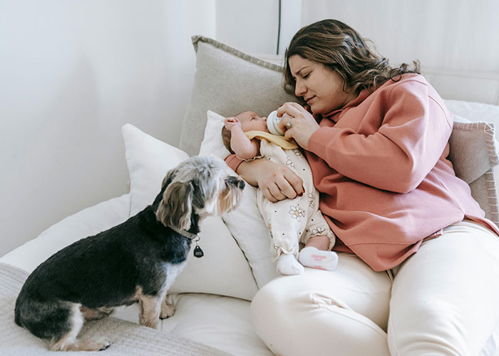 Man Thinks His Dog Ran Away 5 Years Ago, Considers Divorce After Learning What Really Happened