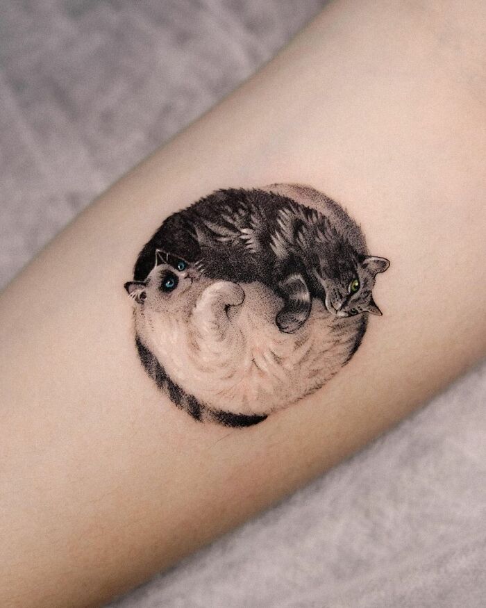 Two adorable cats in a yin-yang pet portrait tattoo on forearm.