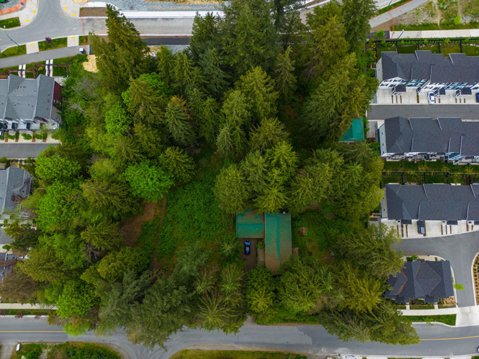 My Elderly Mother Doesn't Want To Move, She Is Now Surrounded By New Townhouses In All Directions