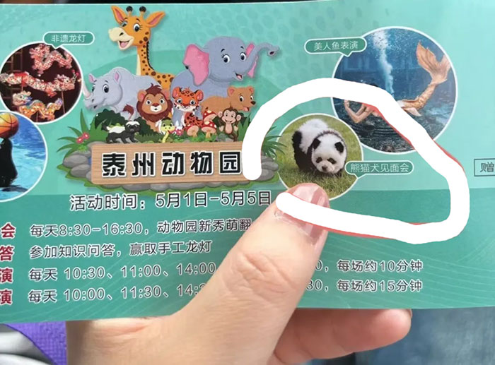 Outrage After Zoo&rsquo;s Panda Exhibit Turns Out To Be Dogs Dyed Black And White